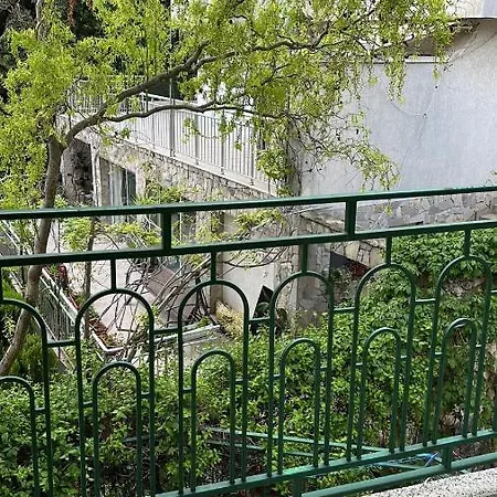 Hayat Ltd Primorsko